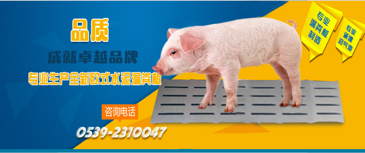 養(yǎng)豬設(shè)備專業(yè)生產(chǎn)廠家-山